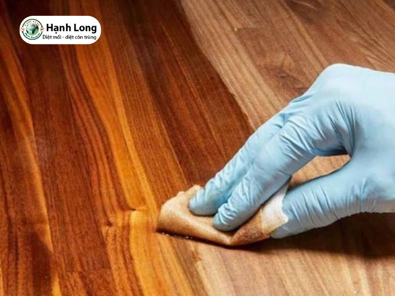 trị mối ăn gỗ