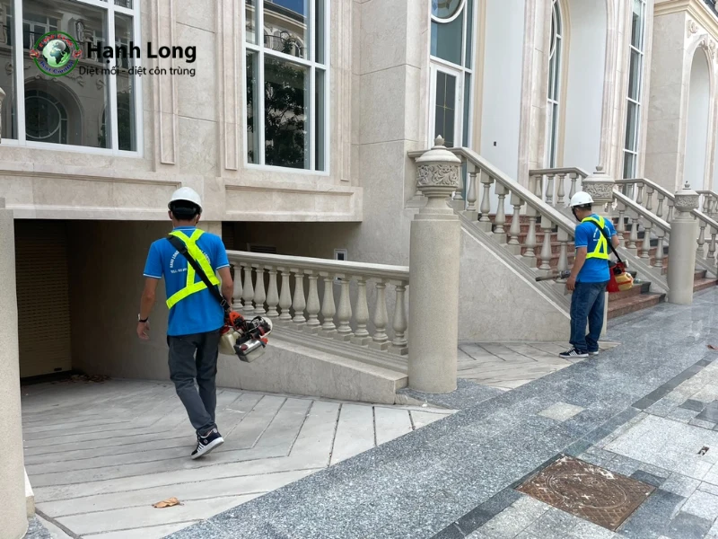 diệt muỗi quận 1 diệt muỗi quận 1