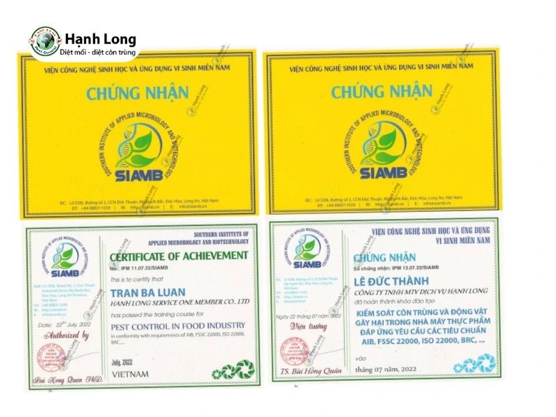 thuốc diệt mối tận gốc