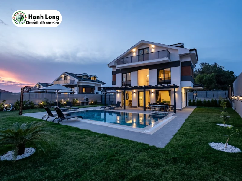 diệt mối biệt thự uy tín