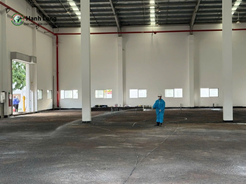diệt mối tại quận 4