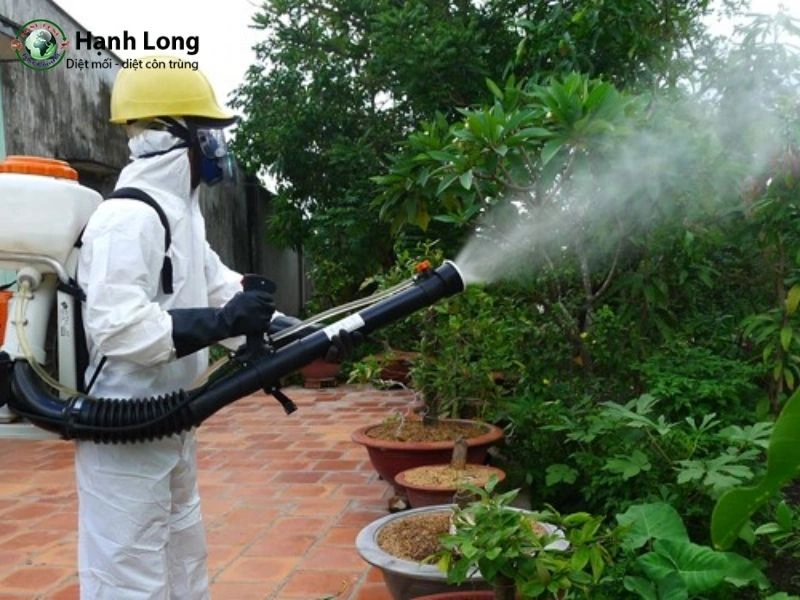 cách diệt muỗi chuồng trại