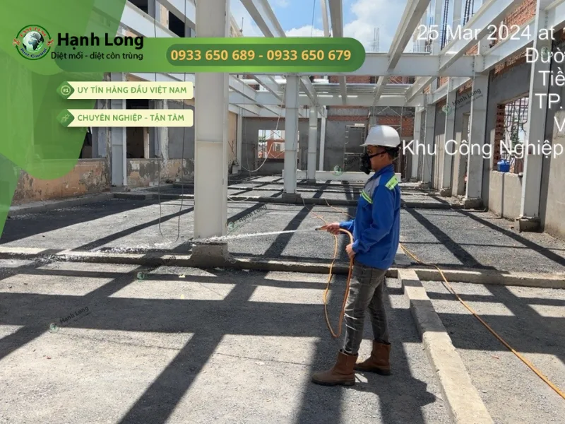 cách diệt mối sàn gỗ