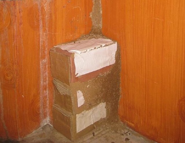 diệt mối bàng phương pháp sinh học