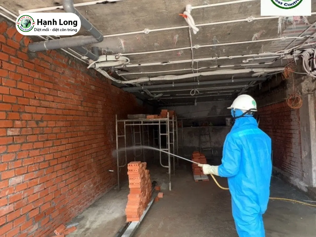 dịch vụ phòng chống mối