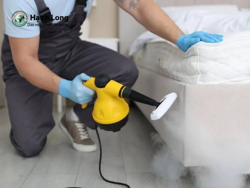 cách khử mùi thuốc diệt muỗi cách khử mùi thuốc diệt muỗi