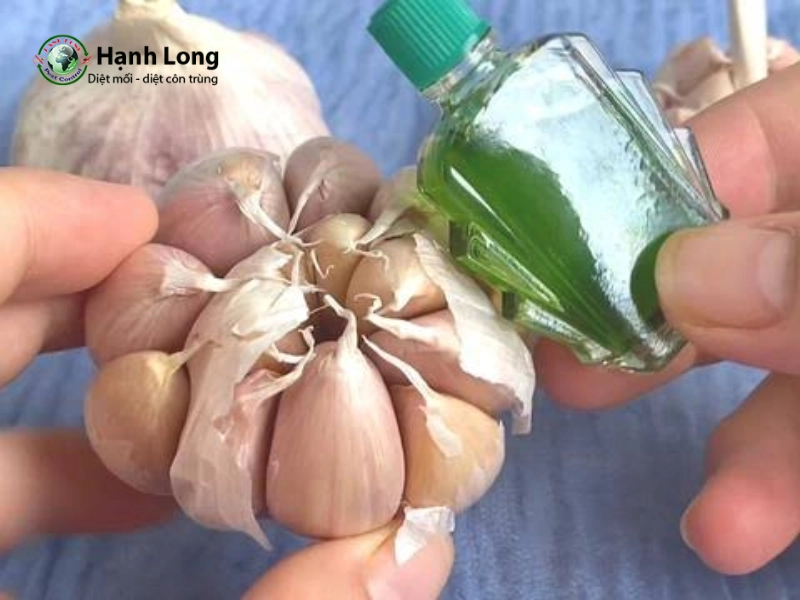 cách đuổi muỗi bằng dầu gió và tỏi cách đuổi muỗi bằng dầu gió và tỏi