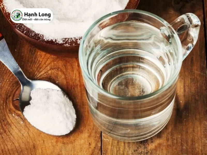 cách diệt mối trong tủ gỗ