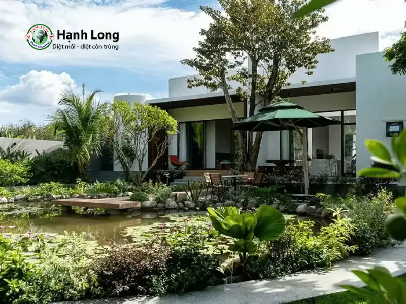 tư vấn diệt mối tư vấn diệt mối