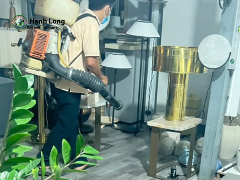 Đơn vị diệt muỗi Tùng My
