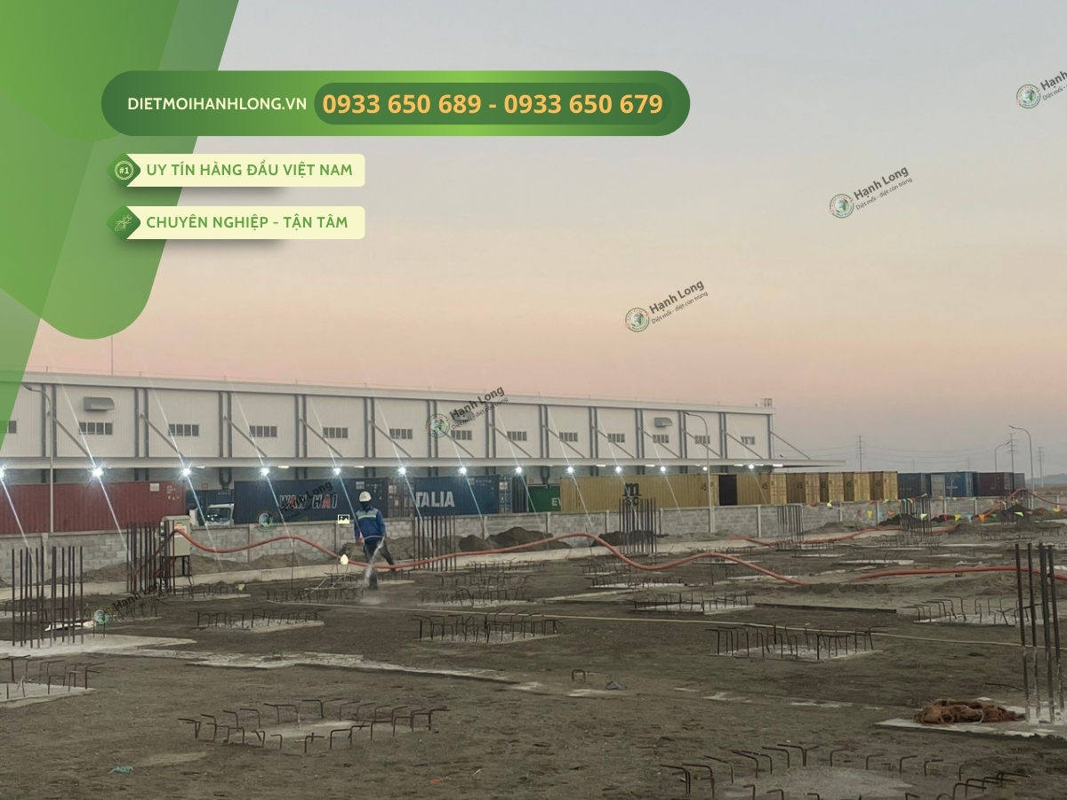 Đội ngũ Thi công chống mối tại Phú Mỹ Vũng Tàu chuyên nghiệp