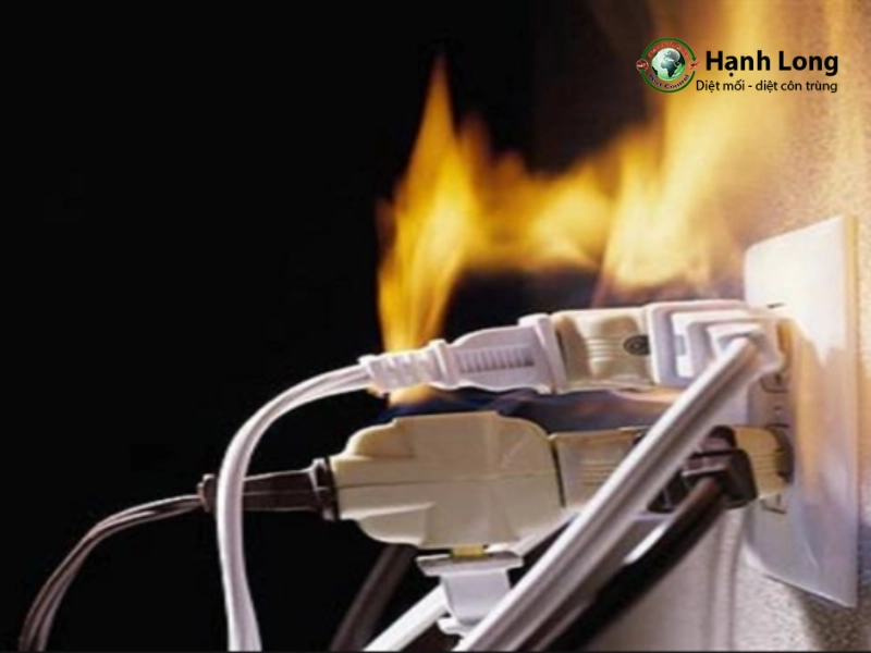 tác hại mối tác hại mối