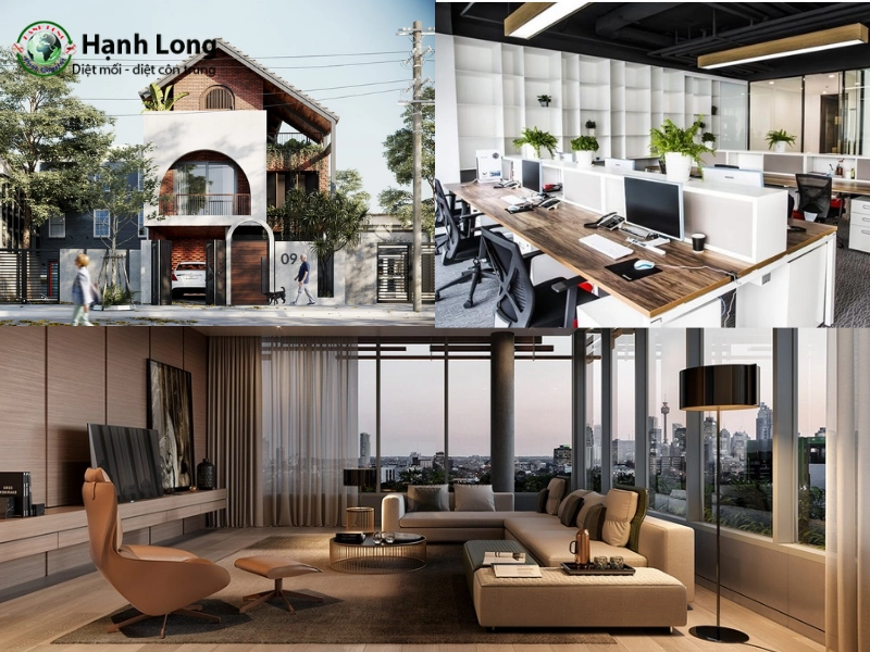 Phân loại theo không gian xử lý 