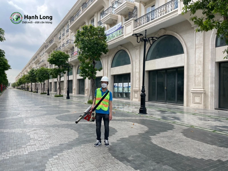 diệt mối quận 8