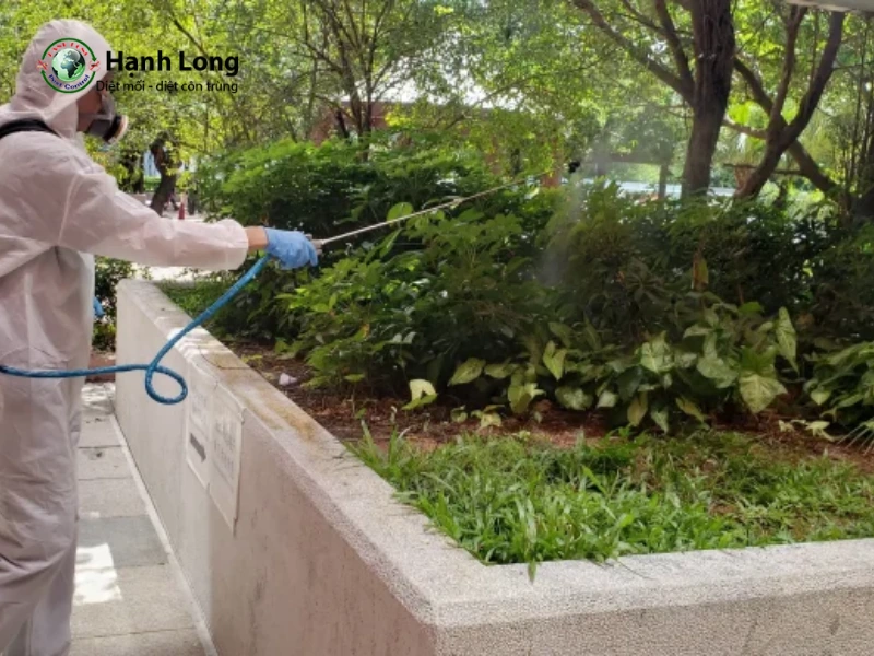 diệt muỗi quận 10 diệt muỗi quận 10