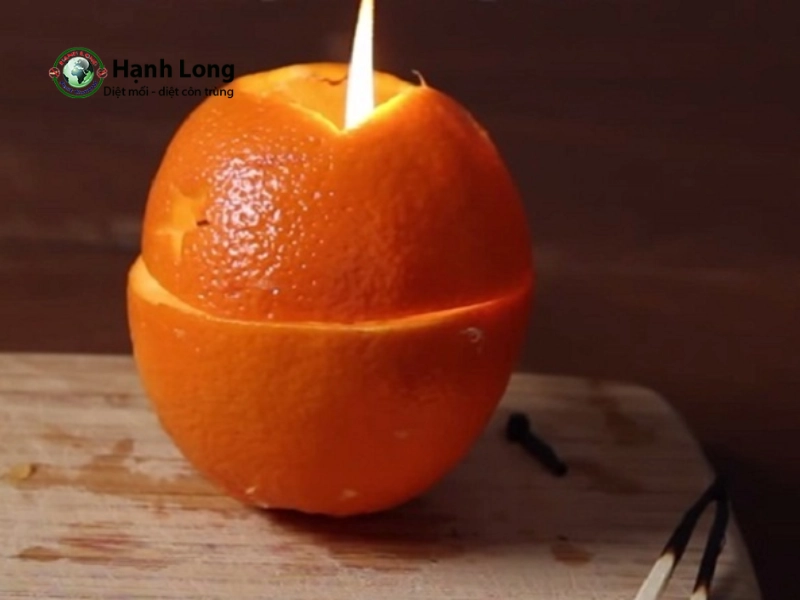 cách đuổi muỗi trong nhà vệ sinh