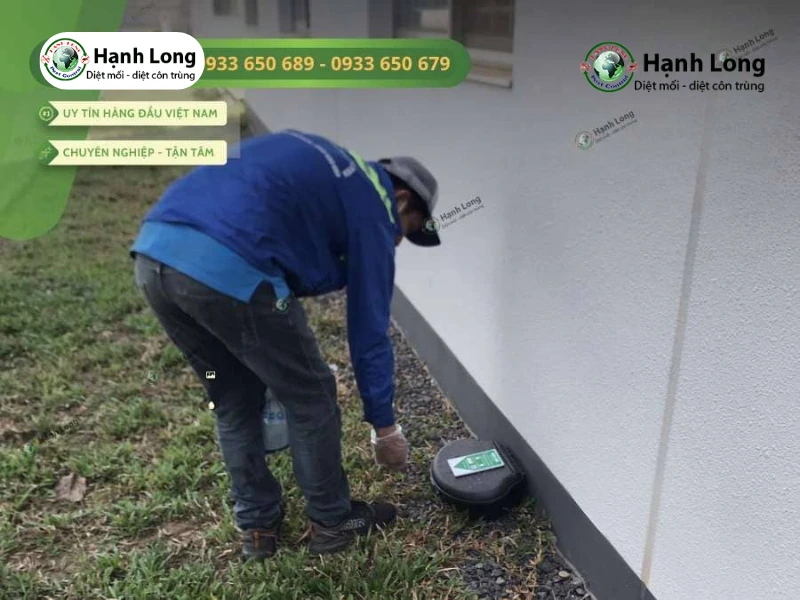 Dịch vụ diệt chuột nhà máy 