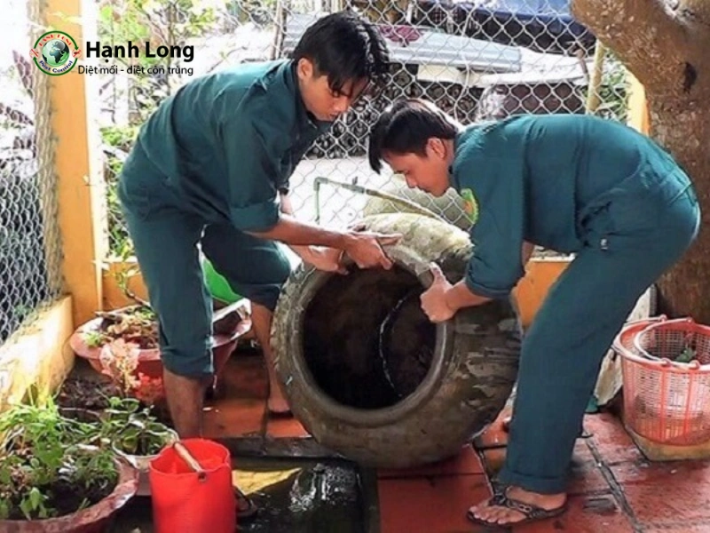 cách diệt loăng quăng trong bể nước
