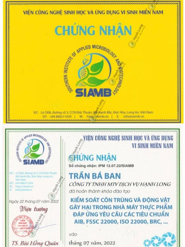 diệt mối chuyên nghiệp