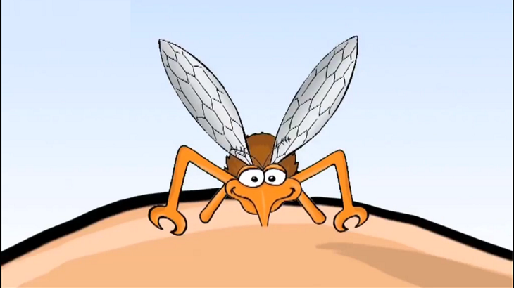 Cách phòng muỗi trong nhà hiệu quả