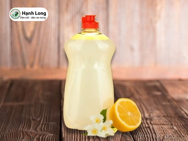 diệt mối trong cửa gỗ