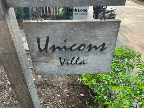 Lắp đặt hệ thống bảo trì chống mối Termite Pro tại Villas vũng tàu