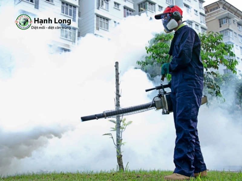 Phun thuốc muỗi vào thời gian nào? Lịch phun chuẩn