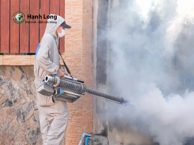 dịch vụ phun muỗi tại nhà