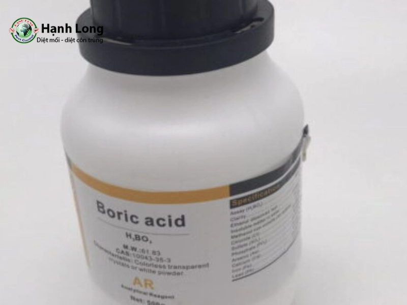 cách diệt mối trong nhà