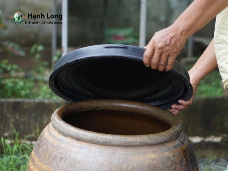 vòng đời của muỗi