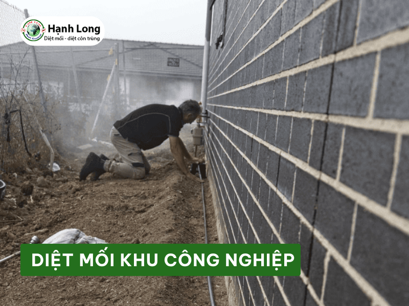 Dịch vụ Diệt mối khu công nghiệp
