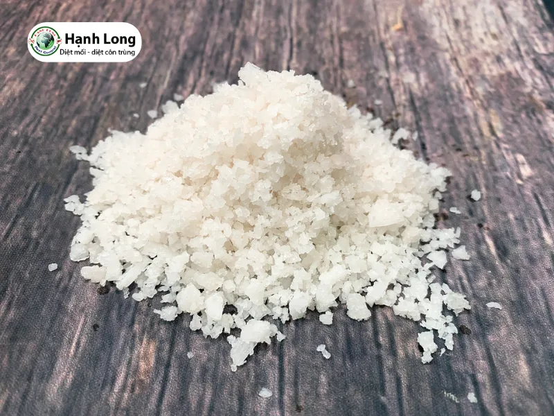 cách đuổi mối cánh