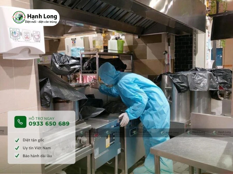 Diệt mối nhà hàng