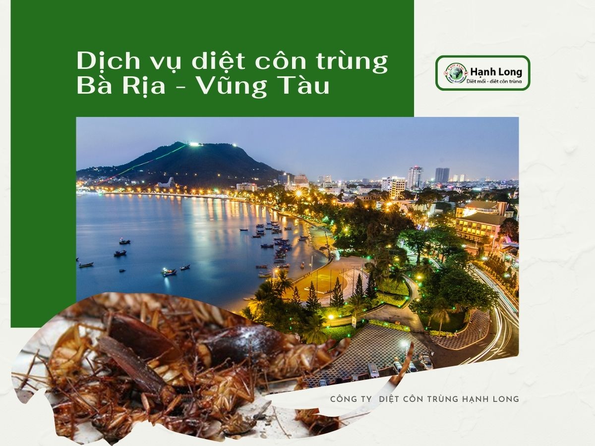 Diệt côn trùng tại Vũng Tàu chuyên nghiệp