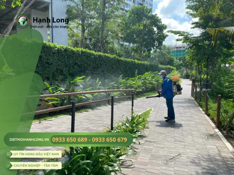 dịch vụ diệt ruồi dịch vụ diệt ruồi