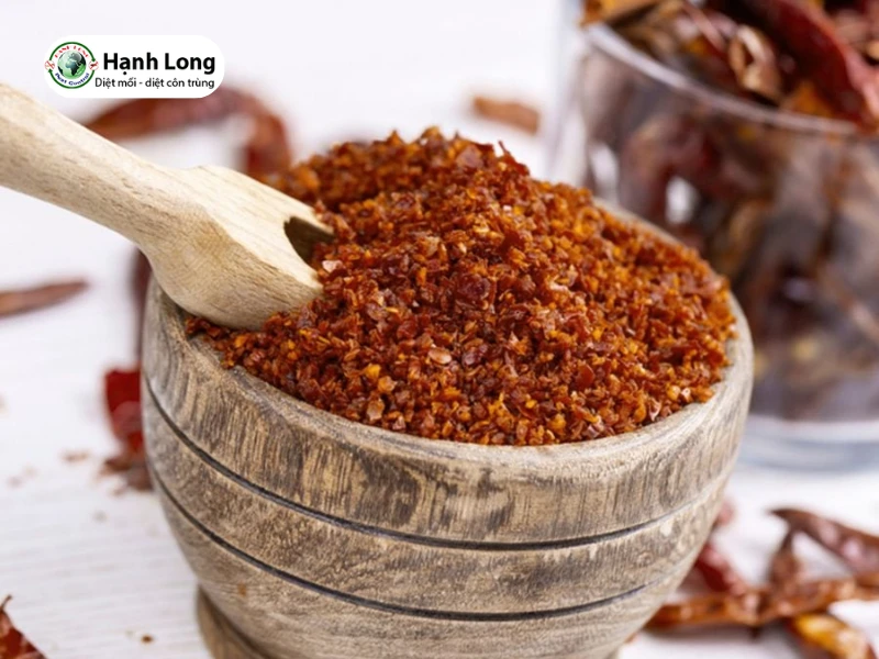 cách diệt mối đất