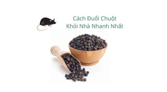 Cách diệt chuột 1