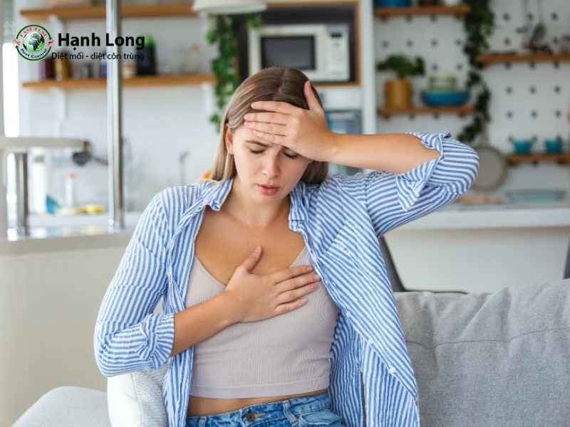 con mối cánh có hại không con mối cánh có hại không