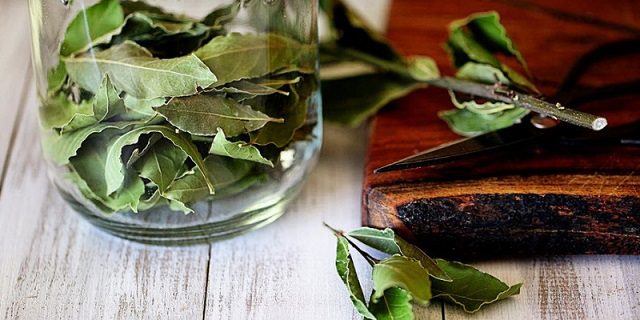 Cách đuổi rán 4