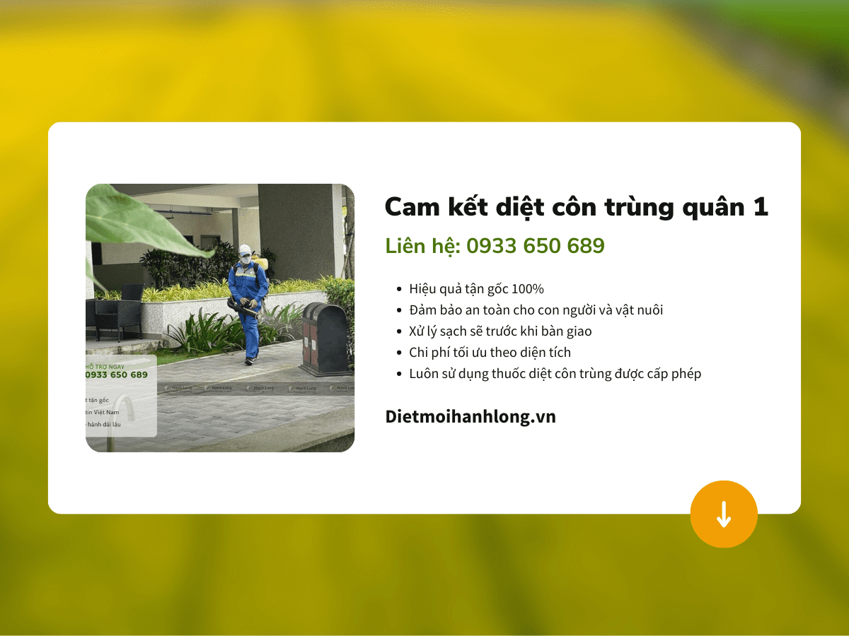 Cam kết diệt côn trùng tại quận 1 tận gốc
