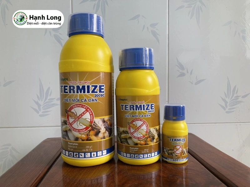 phòng chống mối xây dựng