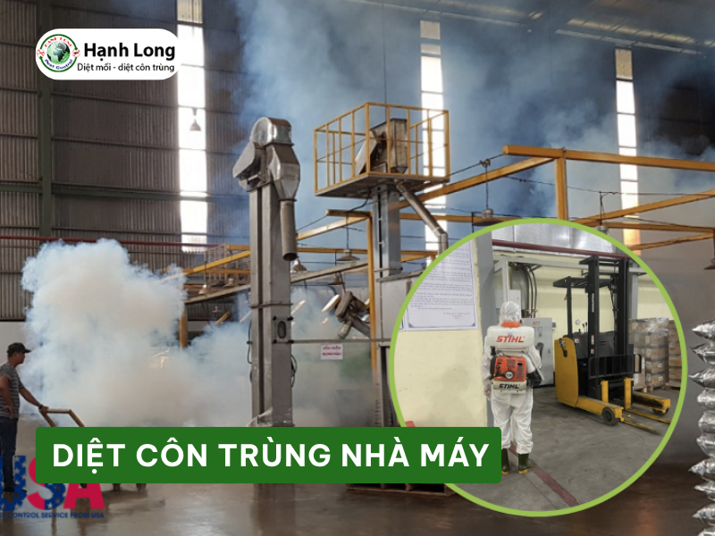 Dịch vụ diệt côn trùng nhà máy