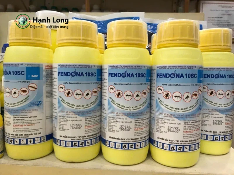 Dịch vụ diệt rệp Dịch vụ diệt rệp