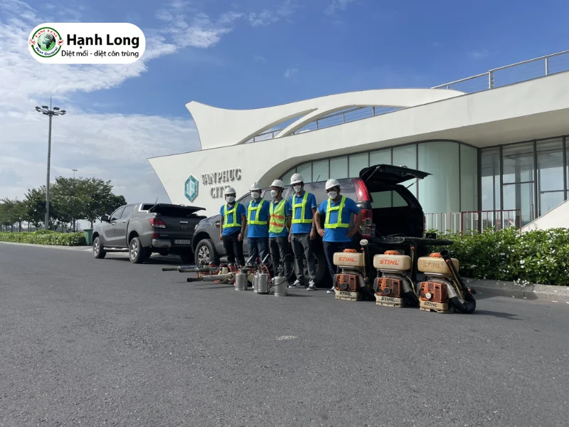 Quy trình diệt mối công trình chuẩn kỹ thuật tại Hạnh Long