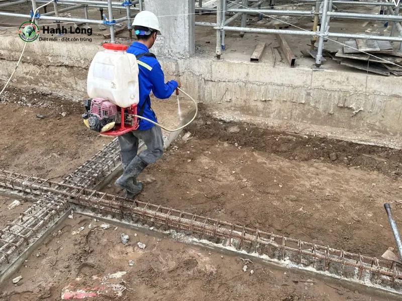 diệt mối quận 6 diệt mối quận 6
