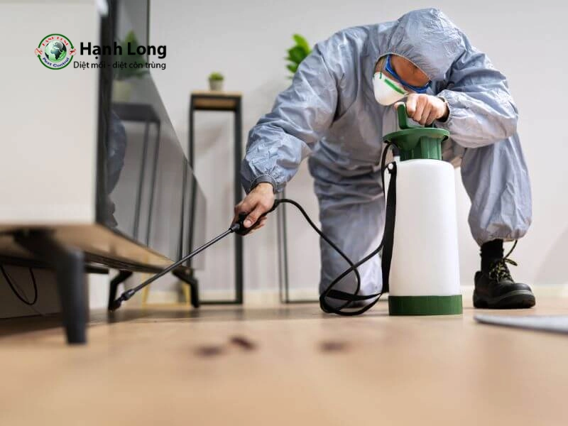 thuốc tiêu diệt mối không mùi