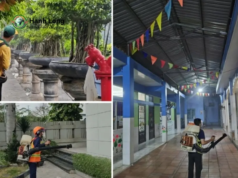 Dịch vụ diệt muỗi Tâm Phát