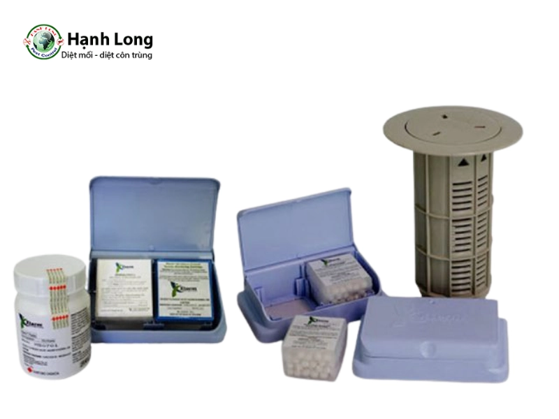 diệt mối tận gốc hcm