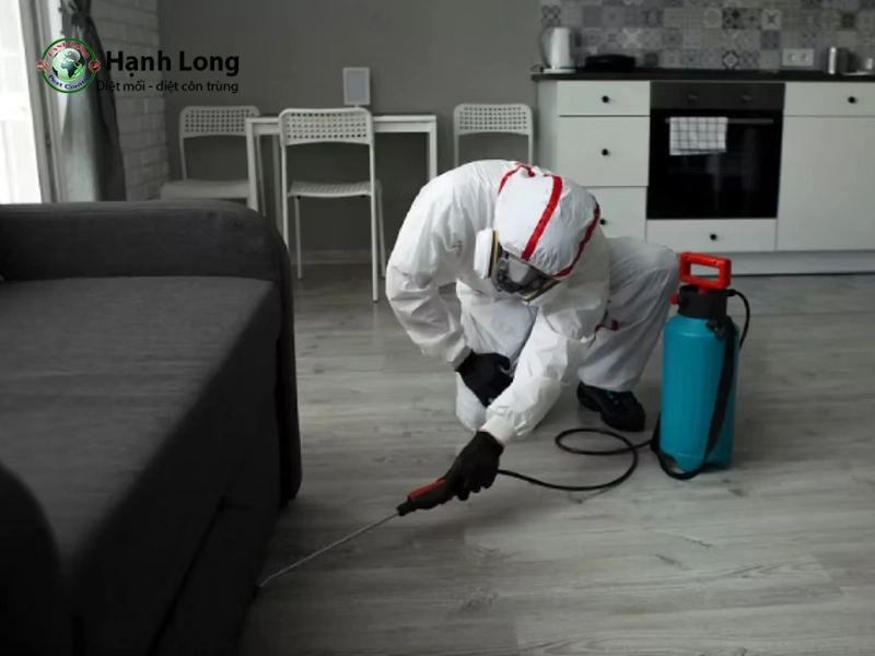 Phun thuốc muỗi có độc không? Trường hợp gây dị ứng, ngộ độc