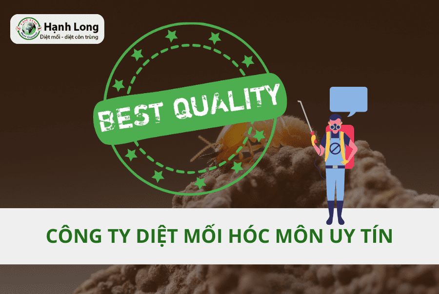 Công ty diệt mối tại Hóc Môn